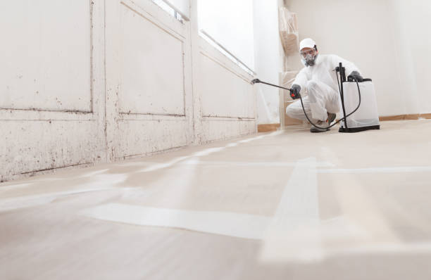 24/7 Emergency Black Mold Remediation experts in Broadway, VA